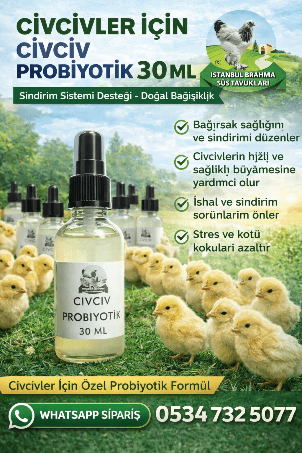 Smart Prolive Civciv Probiyotik | Sindirim ve Bağışıklık Desteği