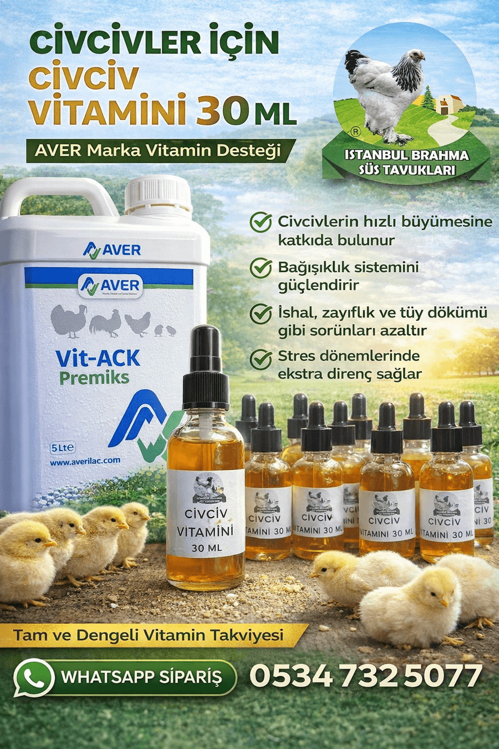 Aver Civciv Vitamini | Civciv Gelişim ve Bağışıklık Desteği