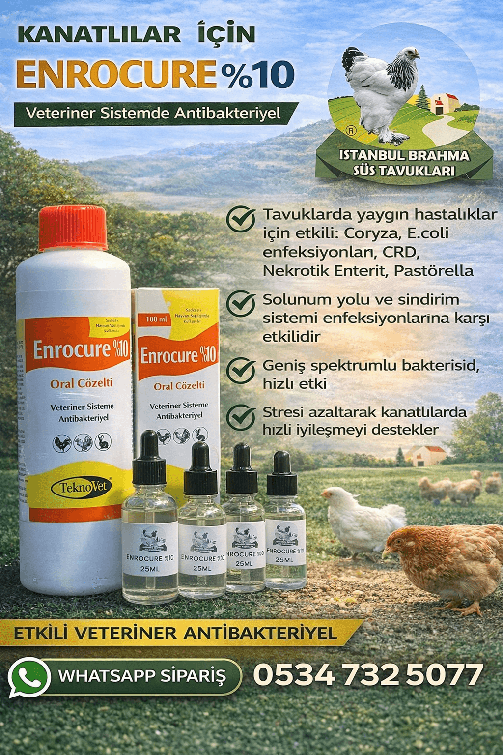 Enrocure %10 | Kanatlı Antibiyotik | Tavuk ve Civciv İlacı