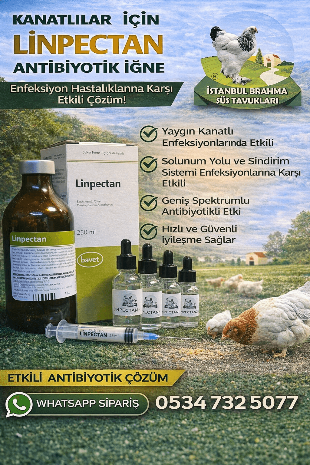Linpectan Antibiyotik | Kanatlı Solunum ve Sindirim İlacı