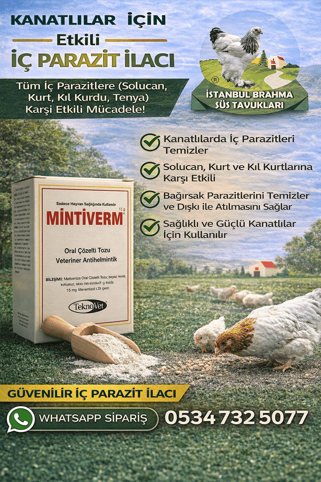 Mintiverm İç Parazit İlacı | Tavuk ve Civciv Solucan İlacı