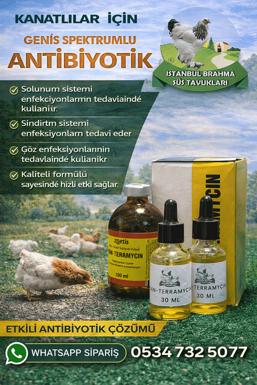 Pan Terramycin | Kanatlı Antibiyotik | Tavuk ve Civciv İlacı