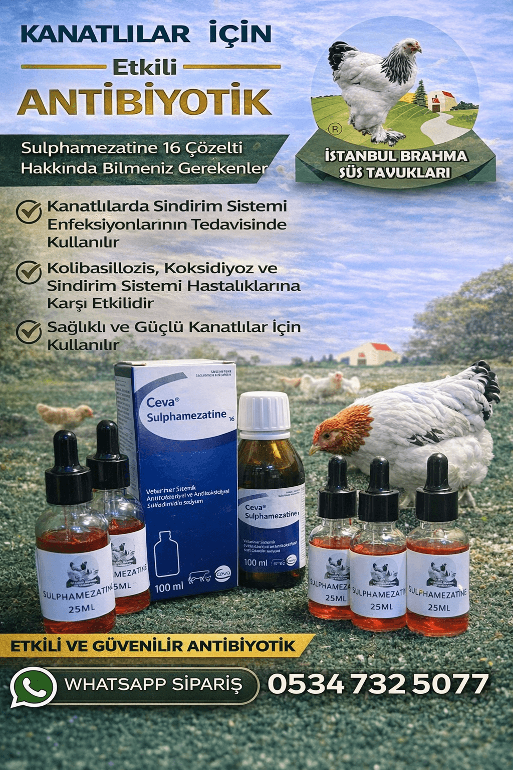 Sulphamezatine 16 | Tavuk ve Civciv İshal İlacı