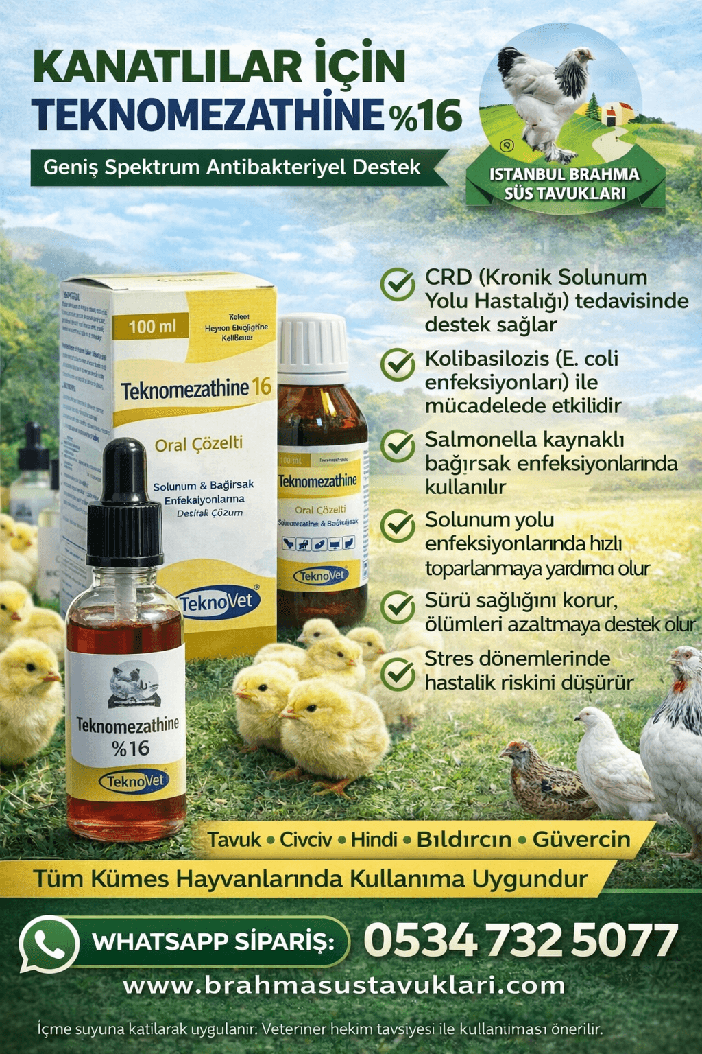 Teknomezathine 16 İlacı | Kanatlı Antibiyotik