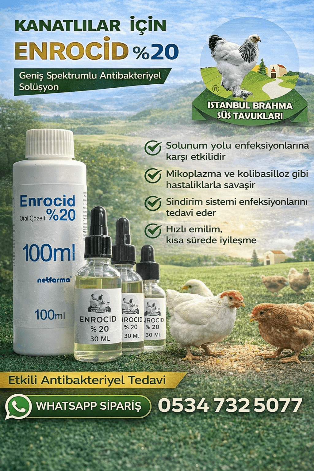 Enrocid %20 | Kanatlı Antibiyotik | Tavuk ve Civciv İlacı