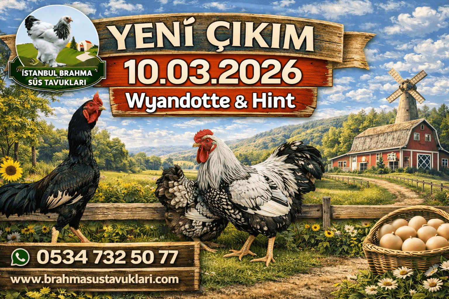 10.03.2026 Civciv Çıkımı – Günlük Süs Civciv Satışı