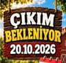 Wyandotte Appenzeller Worweck Civciv