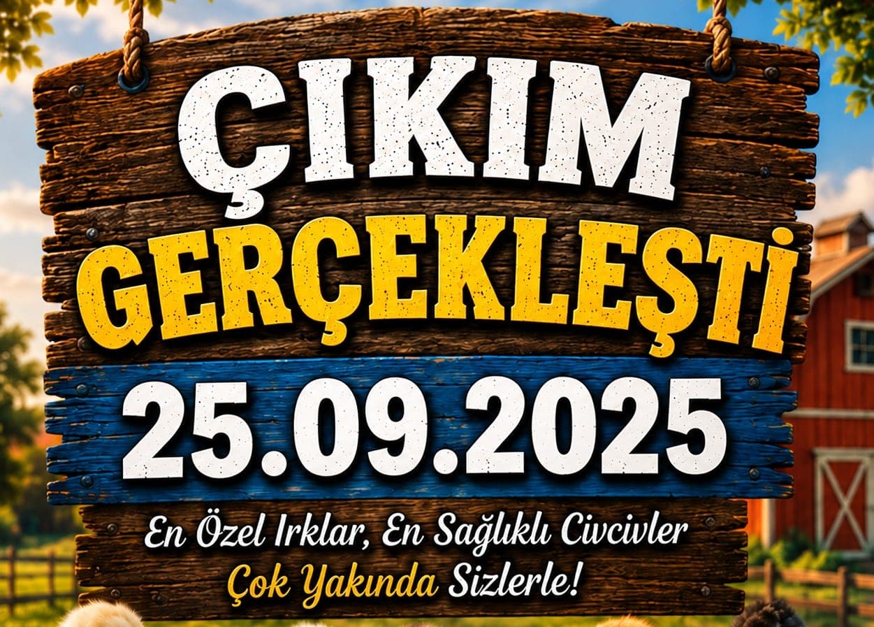 Yaklaşan Civciv Çıkımı