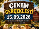 Yaklaşan Civciv Çıkımı