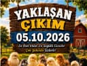 Yeni Civciv Çıkımımız Bekleniyor!