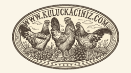 Kuluçkacınız