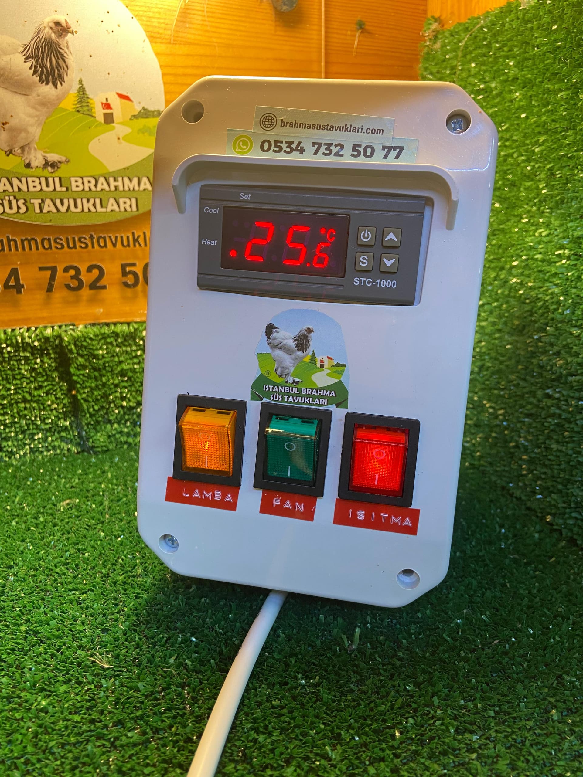 Civciv Büyütme Termostat Kutusu