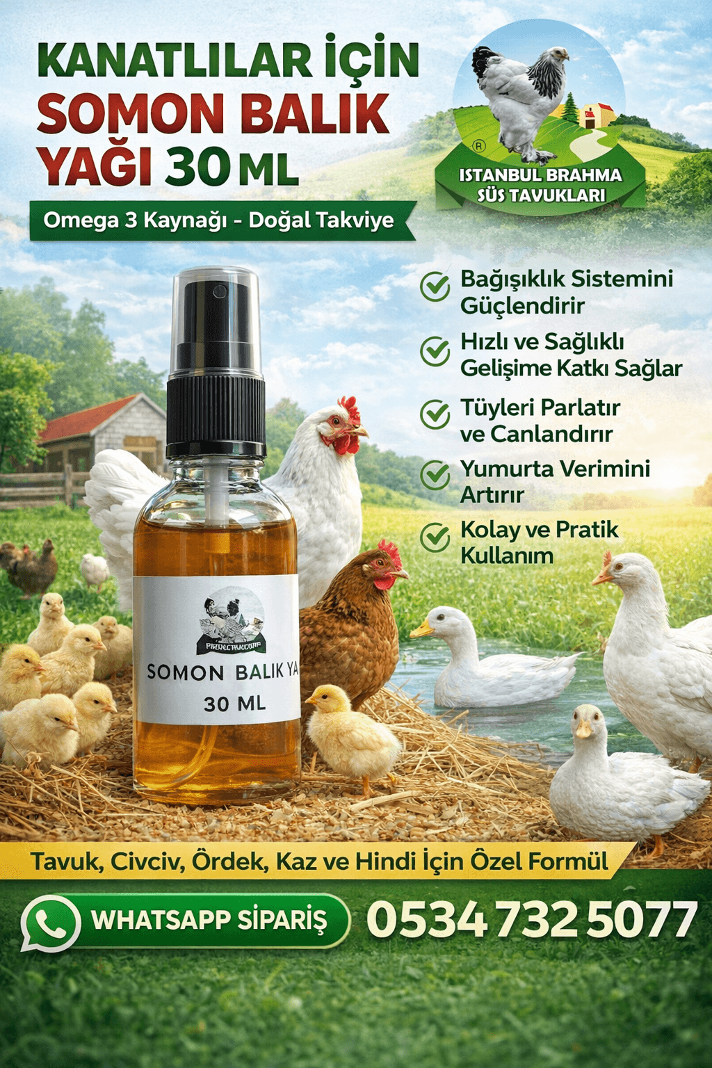 Kanatlılar ve Civcivler İçin Somon Balık Yağı 30 ML | Omega 3 Destek