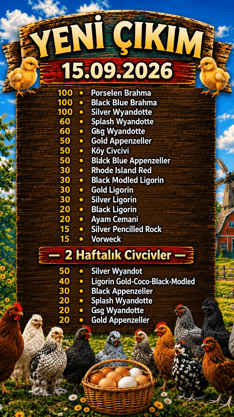 Yeni Civciv Çıkımı 15.09.2026 - Brahma ve Wyandotte Çeşitleri